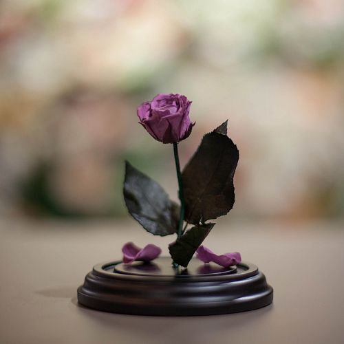 Сиреневая роза в колбе 12 см