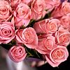 15 розовых роз (Кения) 40 см Premium