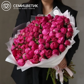 Букет из 101 ярко-розового пиона Red Sarah Bernhardt Premium в прозрачной упаковке