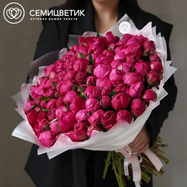 Букет из 101 ярко-розового пиона Red Sarah Bernhardt Premium в прозрачной упаковке