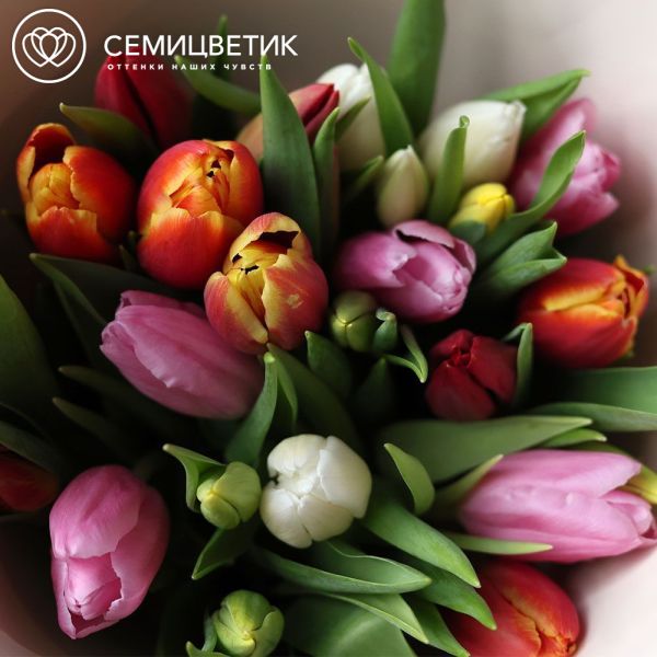 Букет из 15 тюльпанов микс 40 см