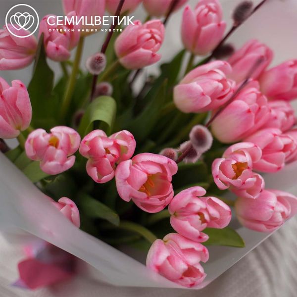 Букет из 25 розовых тюльпанов 40 см с веточками вербы