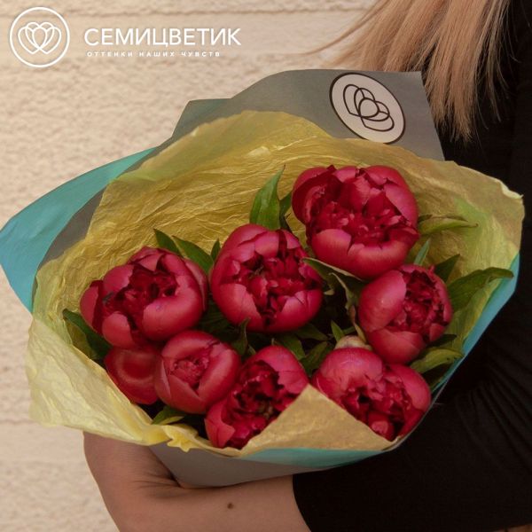 Букет из 7 темно-малиновых пионов Standart