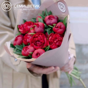 Букет из 11 бордовых пионов Standart в сиреневой пленке