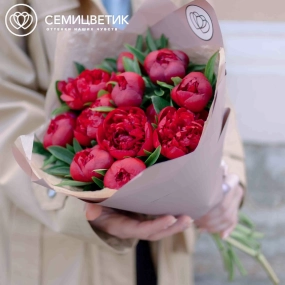 Букет из 11 бордовых пионов Standart в сиреневой пленке