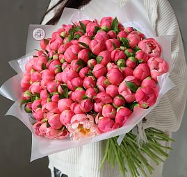 Букет из 101 кораллового пиона Coral Sunset Premium