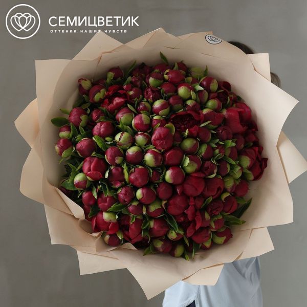 Букет из 101 бордового пиона Premium
