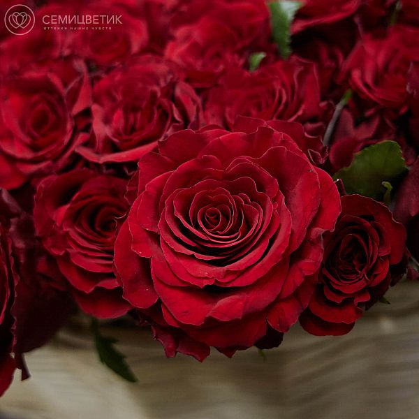Композиция из 501 красной розы Premium 40 см (Кения) в корзине