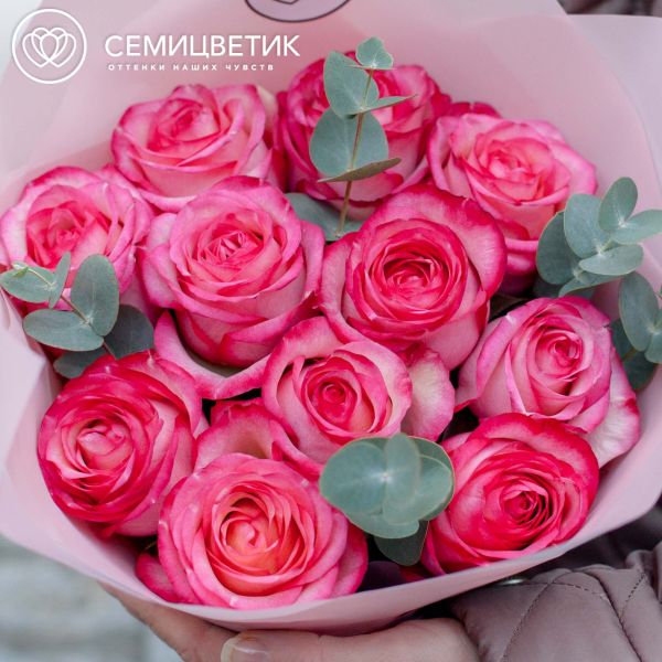 Букет из 11 кремовых с розовой каймой роз Caroussel 50 см (Эквадор) с эвкалиптом