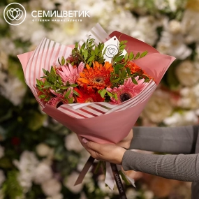 Букет из 9 гербер микс с фисташкой в розовой пленке