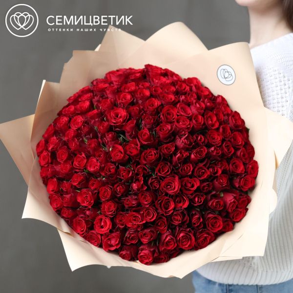 Букет из 151 красной розы 40 см (Кения) в кремовой пленке