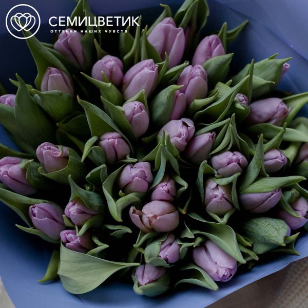 Букет из 35 сиреневых тюльпанов