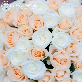 Букет из 151 белой и кремовой розы 40 см (Россия) в розовой пленке