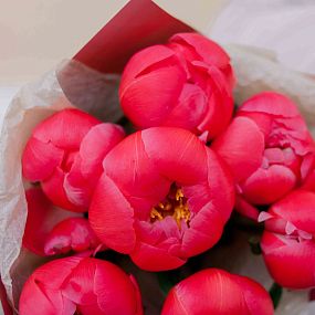 Букет из 7 коралловых пионов Coral Sunset Premium