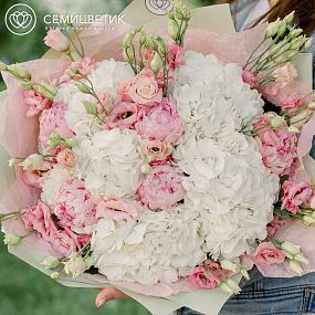 Большой букет  из 5 белых гортензий, 5 розовых пионов Premium и 7 розовых лизиантусов в зеленой пленке