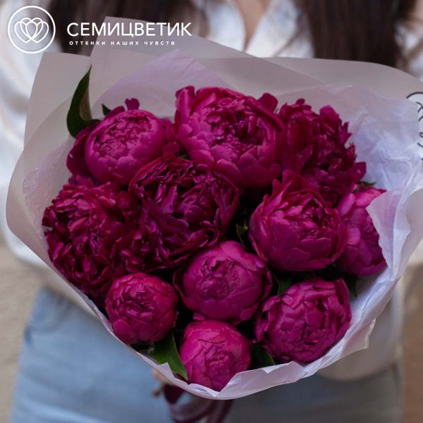Букет из 11 малиновых пионов Standart Plus в прозрачной пленке