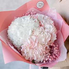 Букет из 3 розовых гортензий с розовой гипсофилой в розовой пленке