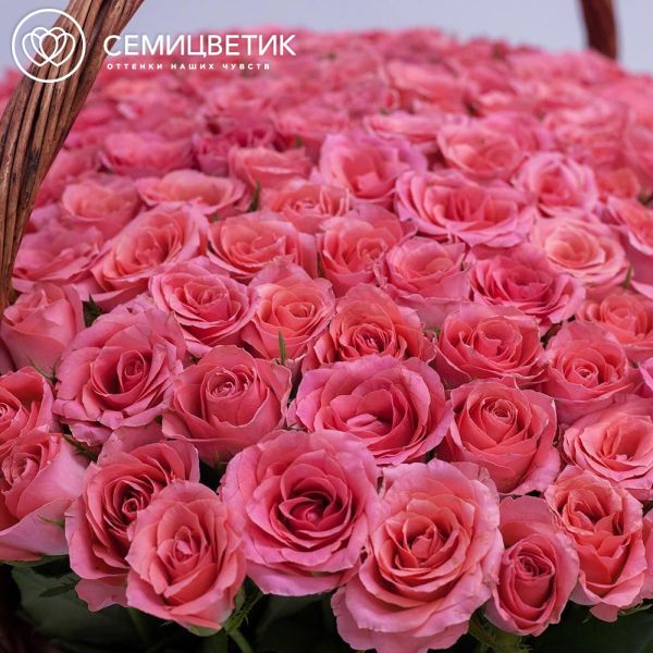 Композиция из 201 коралловой розы (Кения) в корзине