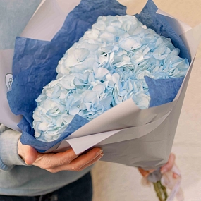 Монобукет  из 3 голубых гортензий в белой пленке