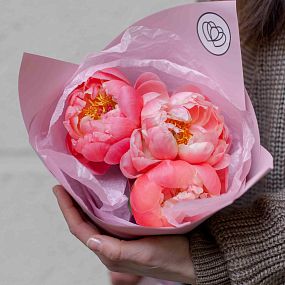 Букет из 3 коралловых пионов Coral Sunset Premium