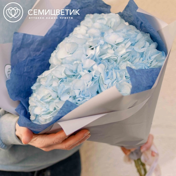 Букет из 3 голубых гортензий в белой пленке