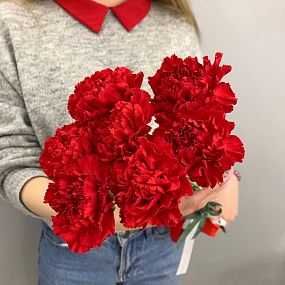 Букет из 7 красных гвоздик
