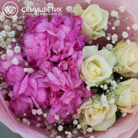 Букет из розовой гортензии, 5 белых роз и гипсофилы в розовой пленке