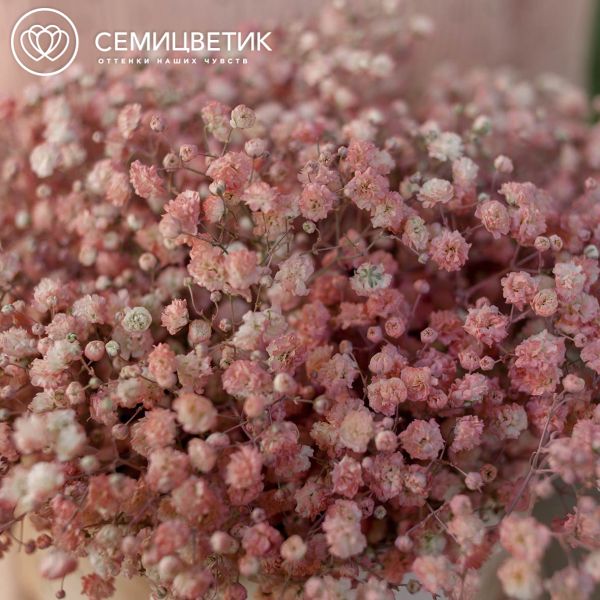 Букет в бежевой шляпной коробке Amour Mini из 9 персиковых гипсофил