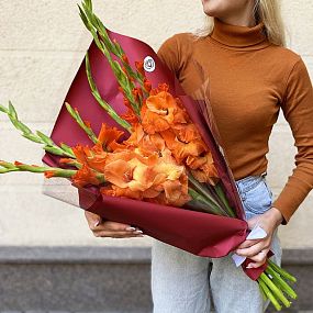 Букет из 9 оранжевых гладиолусов