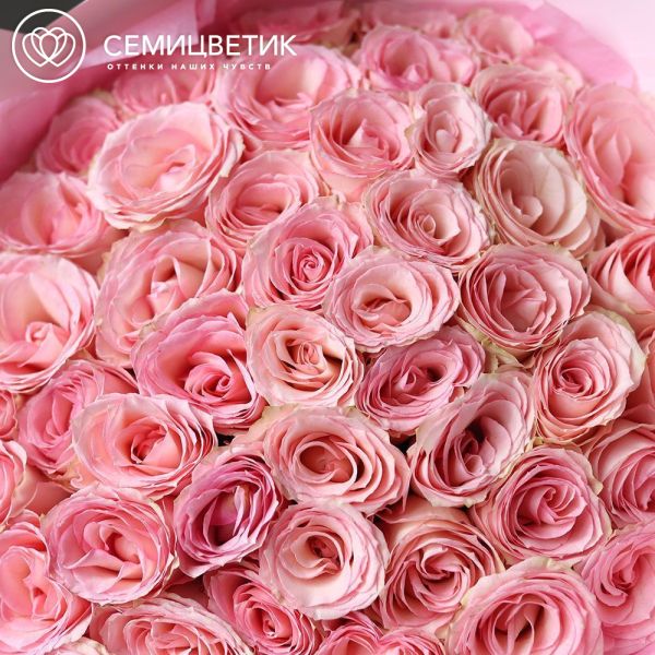 Букет из 51 нежно-розовой розы Esperance 60 см (Кения) в розовой упаковке