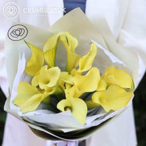 Букет из 11 желтых калл