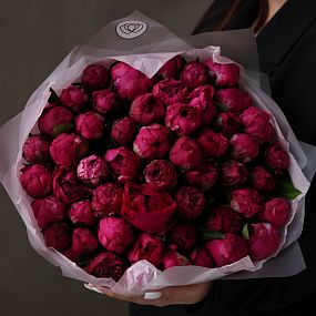 Букет из 51 ярко-розового пиона Red Sarah Bernhardt Premium