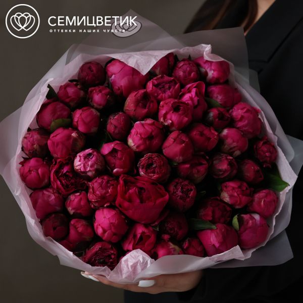 Букет из 51 ярко-розового пиона Red Sarah Bernhardt Premium