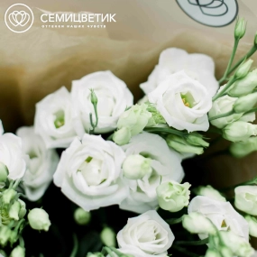Букет из 9 белых лизиантусов в кремовой пленке