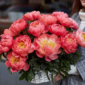 Композиция из 25 коралловых пионов Coral Sunset Premium в корзине