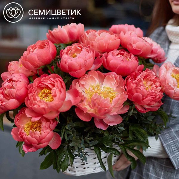 Композиция из 25 коралловых пионов Coral Sunset Premium в корзине