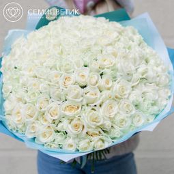 151 белая роза (Россия) 35 см
