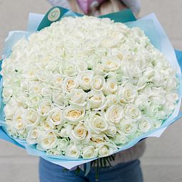 Букет из 151 белой розы 35-40 см (Россия)
