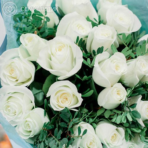25 белых роз (Кения) Premium 40 см с фисташкой