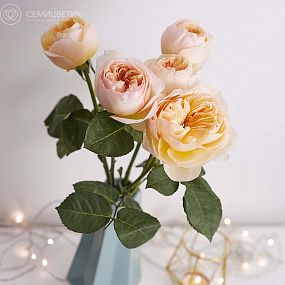Букет из 5 персиковых пионовидных роз Juliet 50 см (Эквадор)