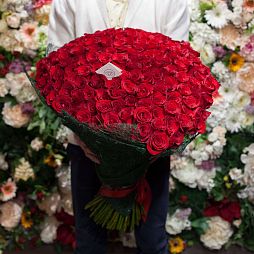 Букет из 151 красной розы (Эквадор) 60 см Freedom