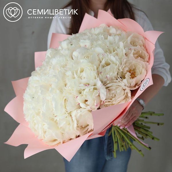 Букет из 51 белого пиона Kelway`s Glorious Premium в розовой пленке