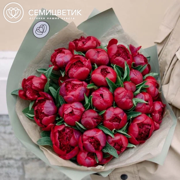 Букет из 25 бордовых пионов Standart Plus