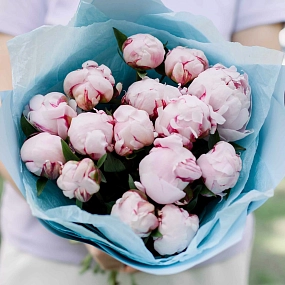 Букет из 15 розовых пионов Standart в голубой пленке