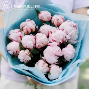 Букет из 15 розовых пионов Standart в голубой пленке