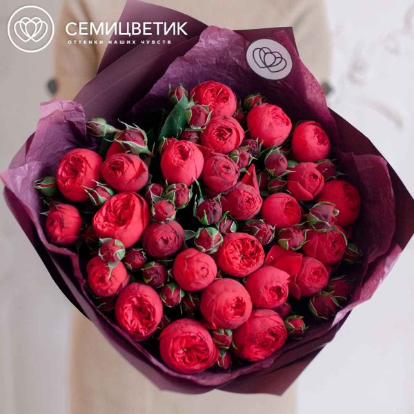 Букет из 25 красных кустовых пионовидных роз Red Piano 40 см