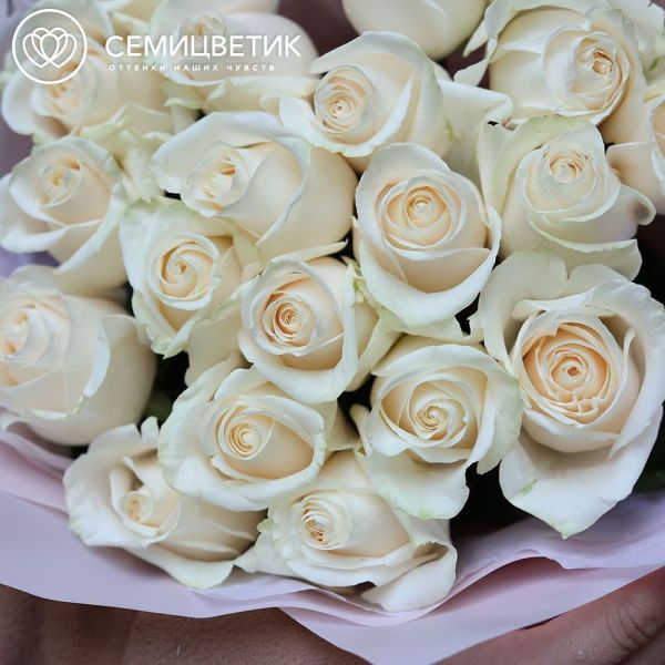 Букет из 19 белых роз Vendela 50 см (Эквадор)