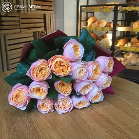 Букет из 15 персиковых пионовидных роз Peach Vuvuzela 40 см