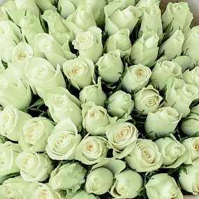 Букет из 65 белых роз 40 см (Кения) в белой пленке