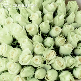 Букет из 65 белых роз 40 см (Кения) в белой пленке